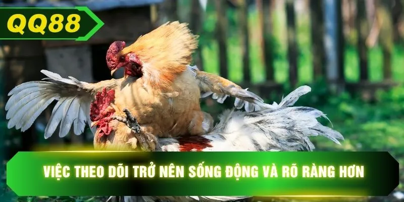 Việc theo dõi trở nên sống động và rõ ràng hơn